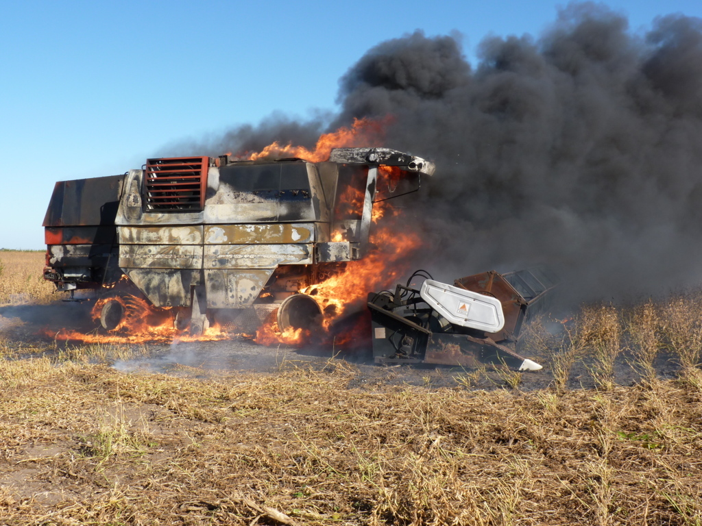 P1350491 (FILEminimizer)