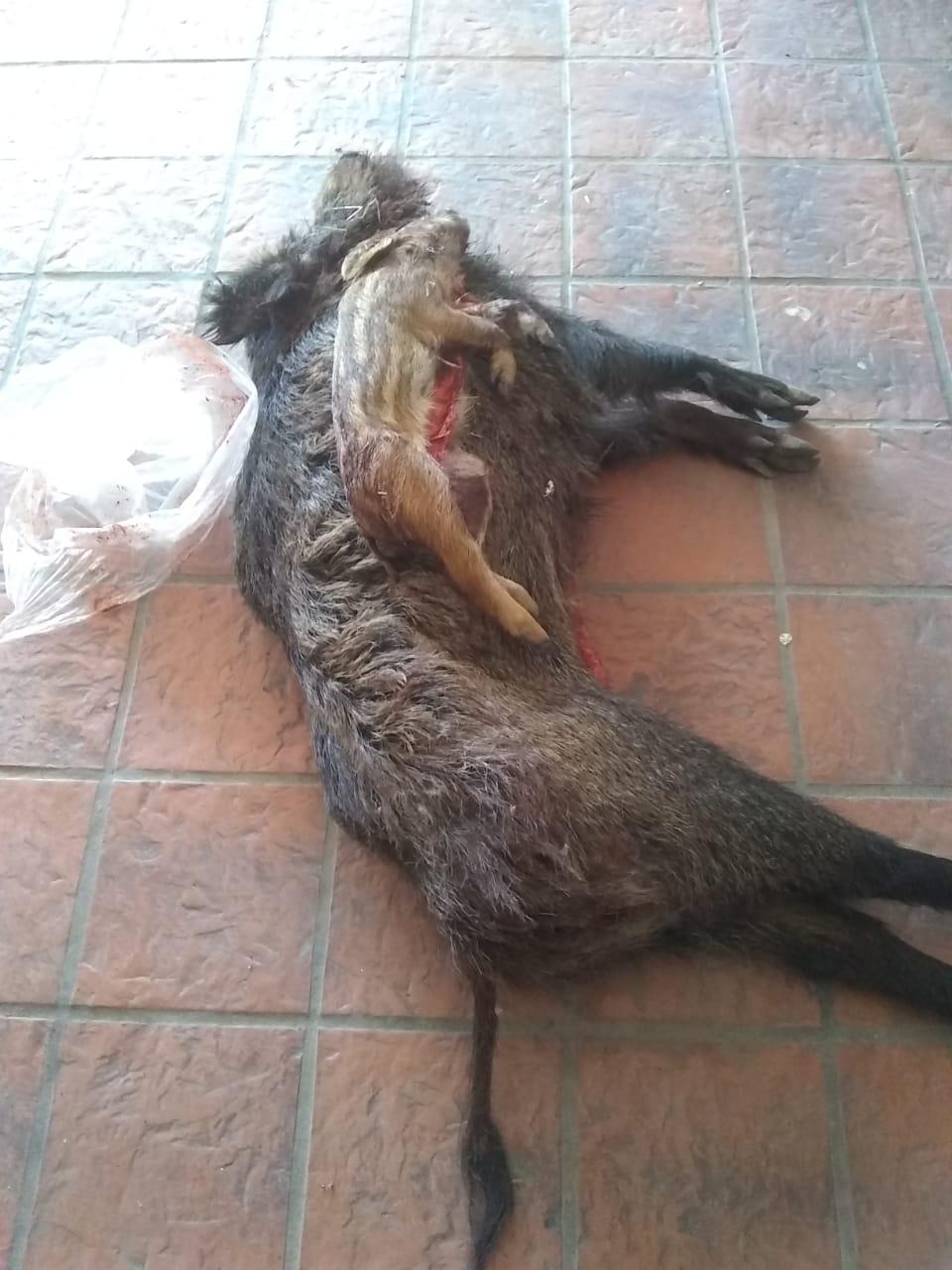 3a159ccd-3507-4079-b00f-5bce1e2938d0