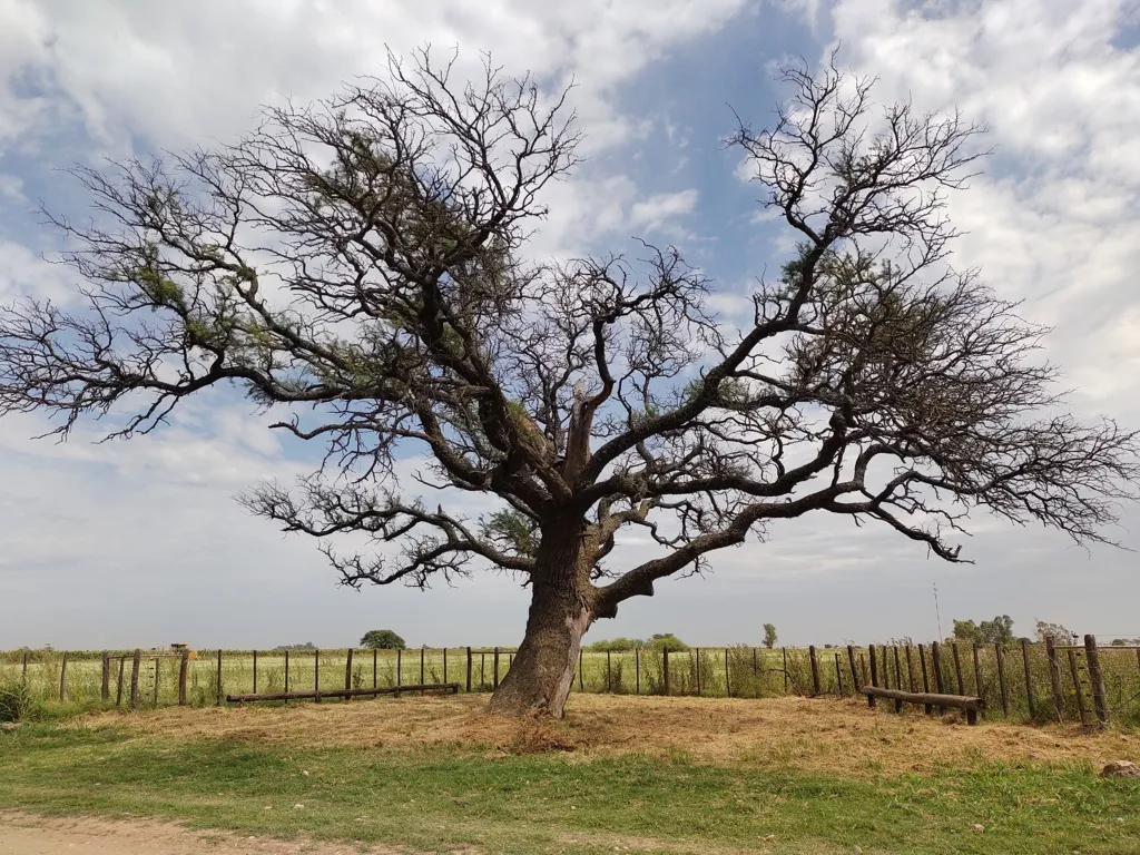 7 calden historico (FILEminimizer)