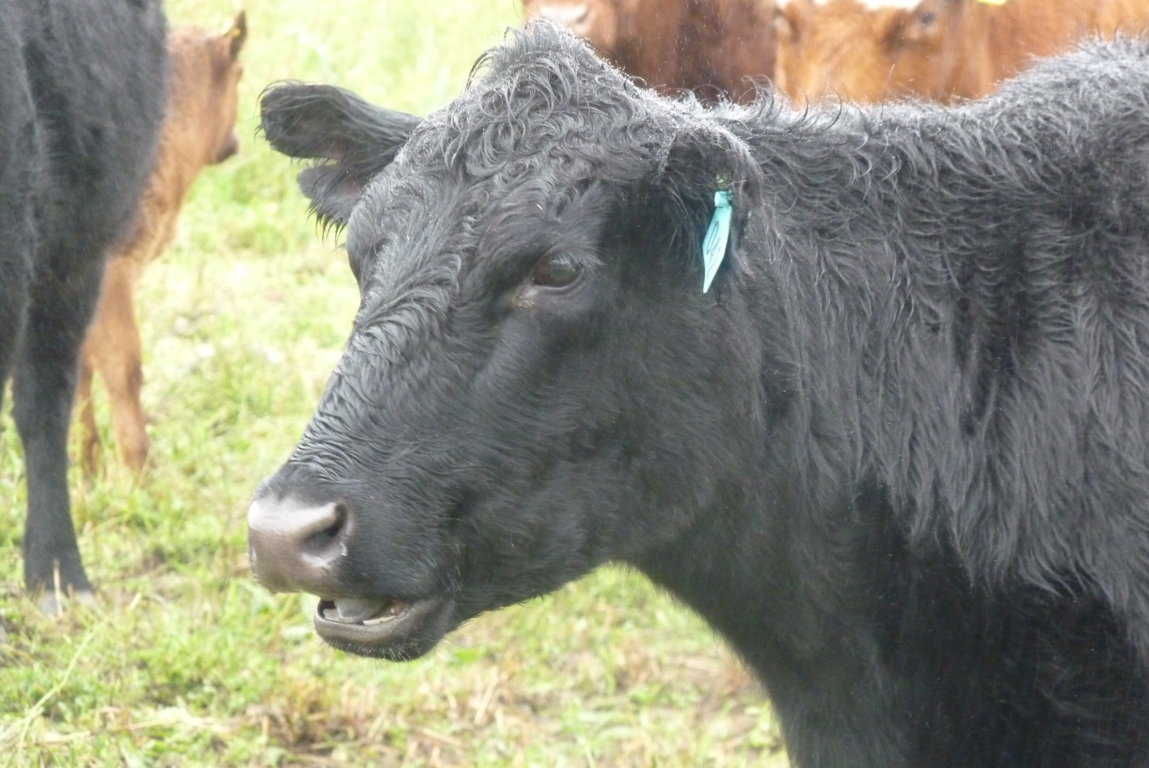 P1370480 (FILEminimizer)