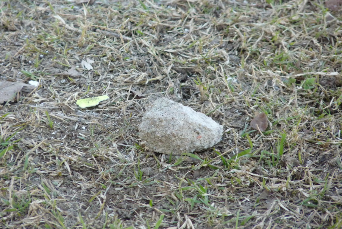 P1380593 (FILEminimizer)