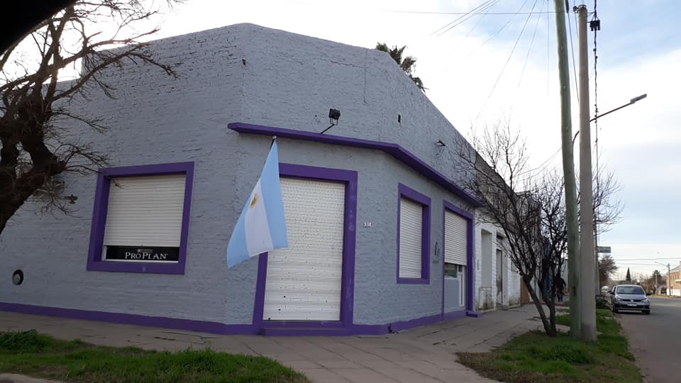 Día de la bandera 15