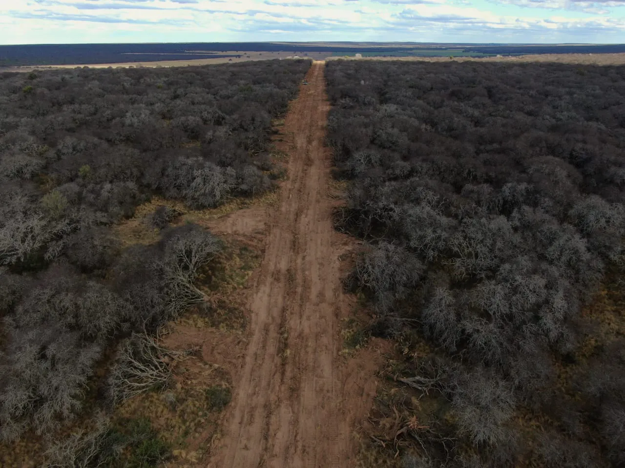 171729_whatsapp-image-2023-10-03-at-08.42.05--2-