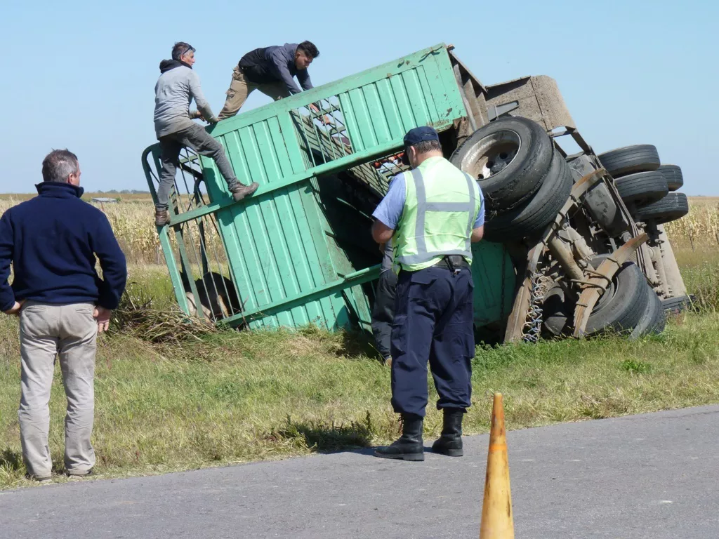 vuelco 2 (FILEminimizer)