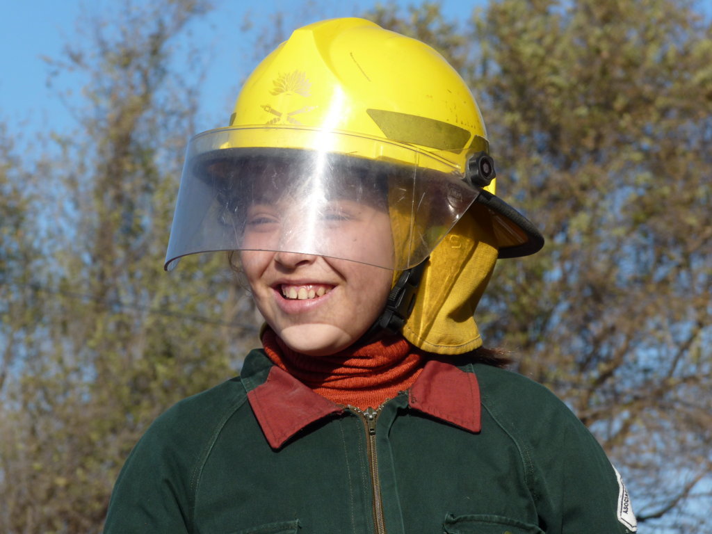 P1210823 (FILEminimizer)