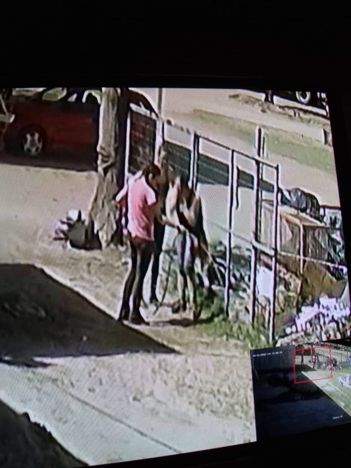 44380828_10161457476195393_7391015108639457280_n