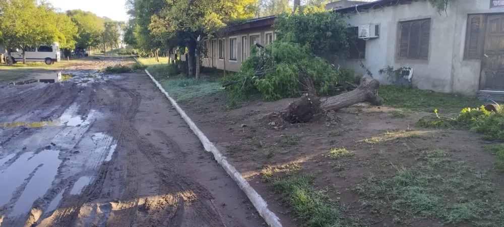 3f4f0fde-dcc8-415b-ac19-115b1f3ed5ae