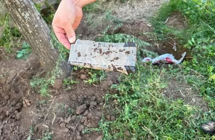 340775067_3389679511268080_1163245140624360220_n