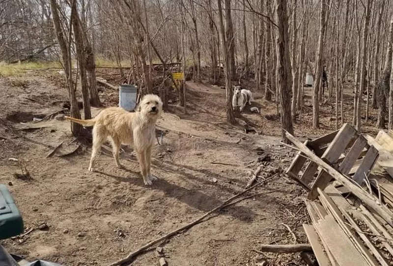 409784eb-5495-400c-8d11-a25919bccc76