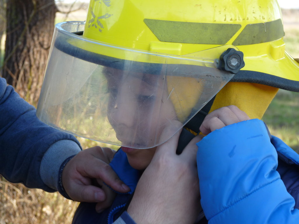 P1210881 (FILEminimizer)