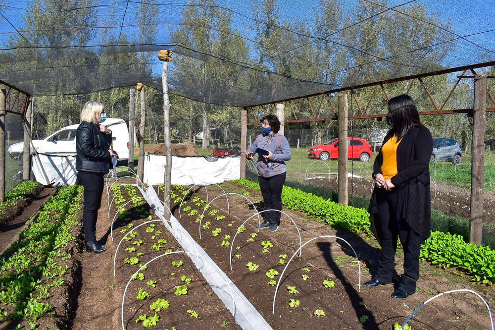 Horticultores 10