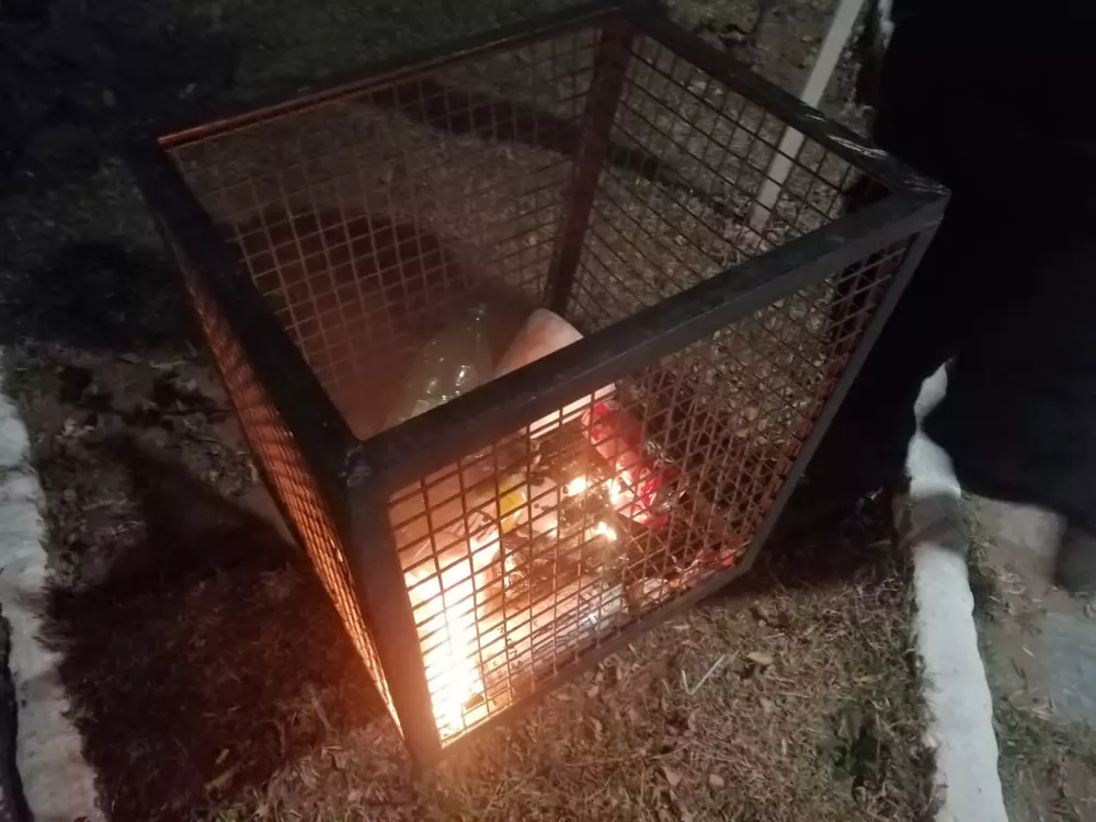 cbb213d4-8236-4af7-829b-c4d221779976