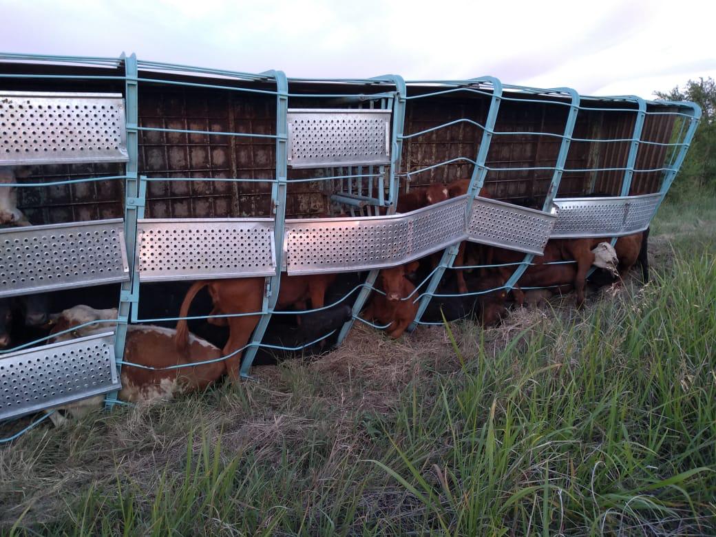 85a1d29a-5488-42f5-8bca-74736588857e