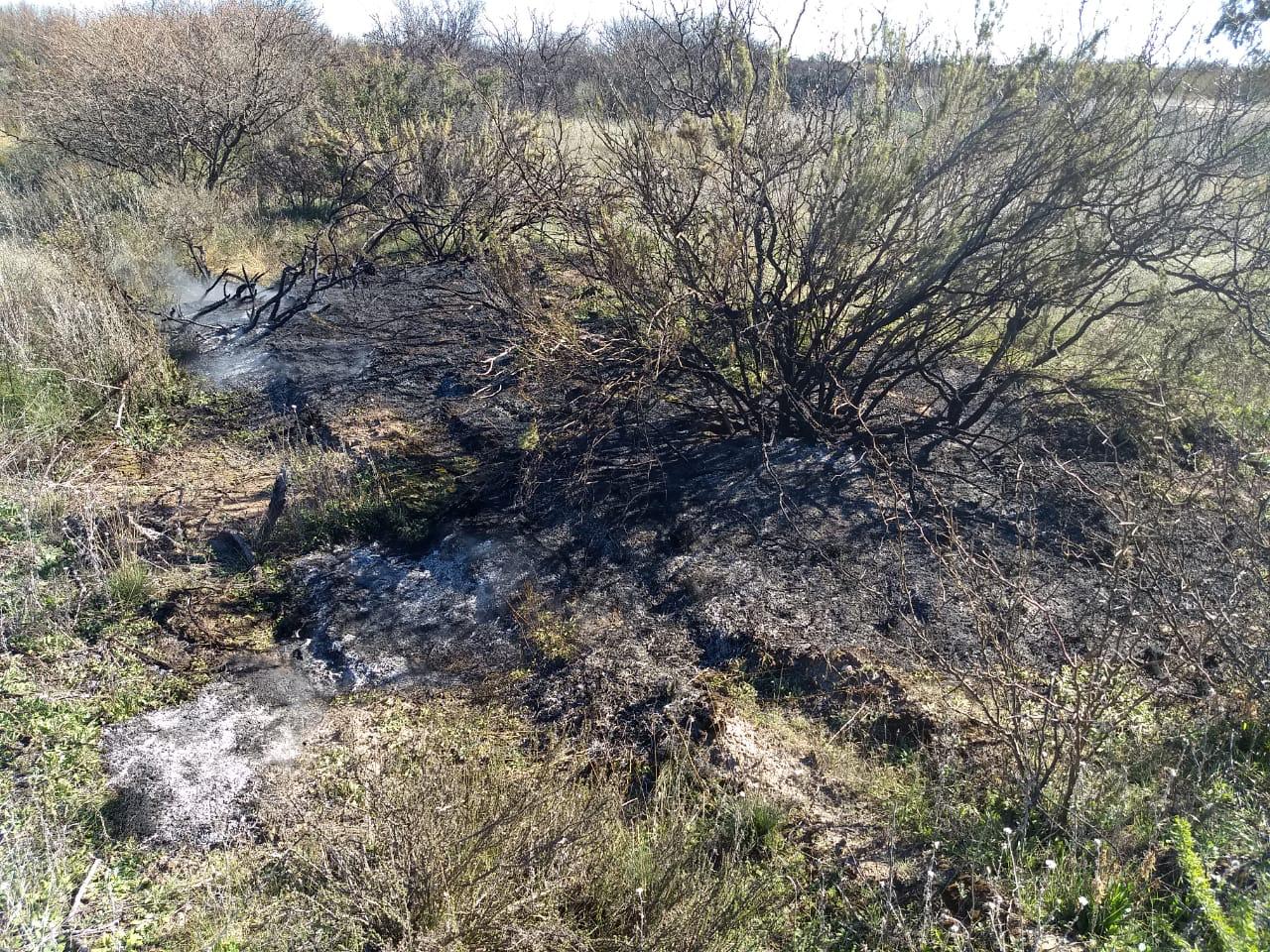 1be6ad13-c9e0-4974-92b1-a3d848f962c2