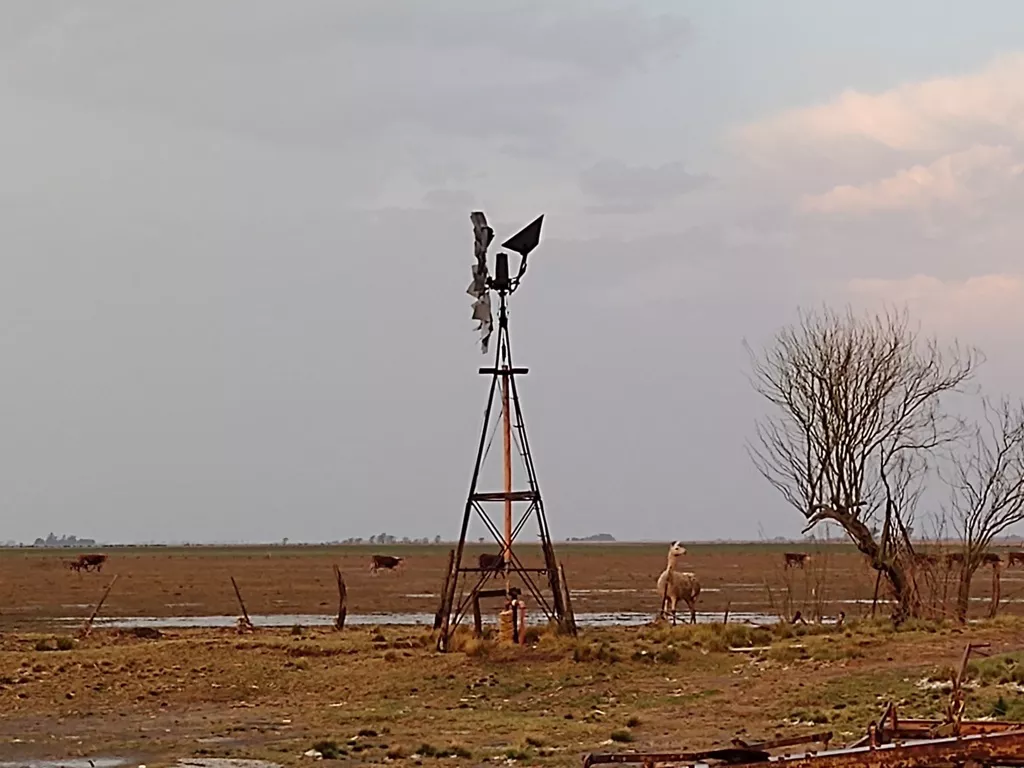 IMG_20210831_183507861 (FILEminimizer)