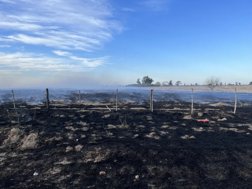 INCENDIO FORTUNA 2 (FILEminimizer)