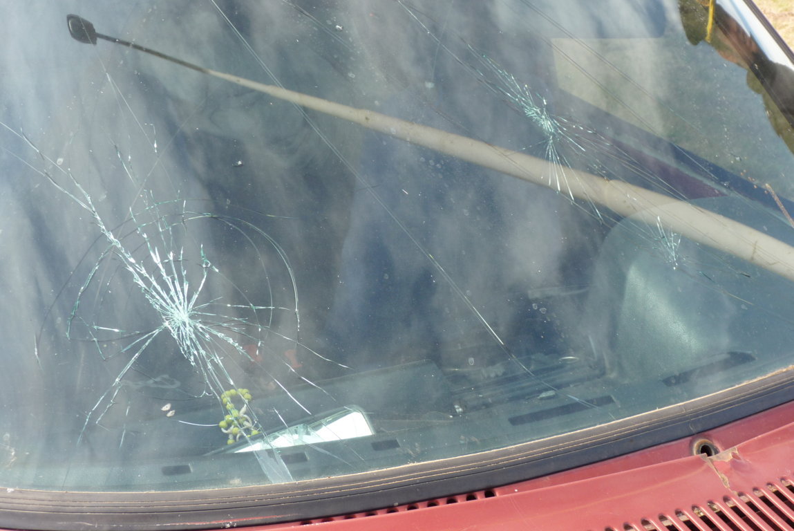 P1410202 (FILEminimizer)