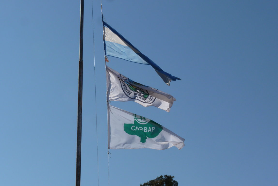 P1410693 (FILEminimizer)