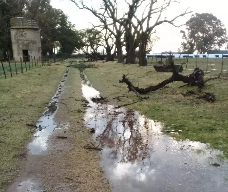 164af2fe-684c-45b7-95d6-ce5c43d2a454 (FILEminimizer)