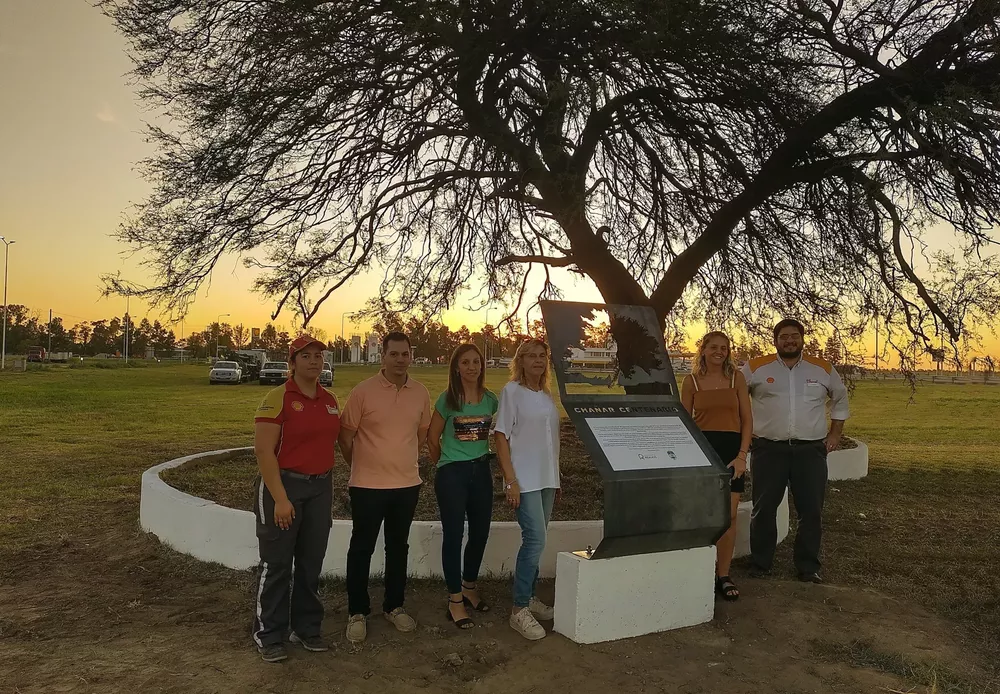 chañar 3 (FILEminimizer)