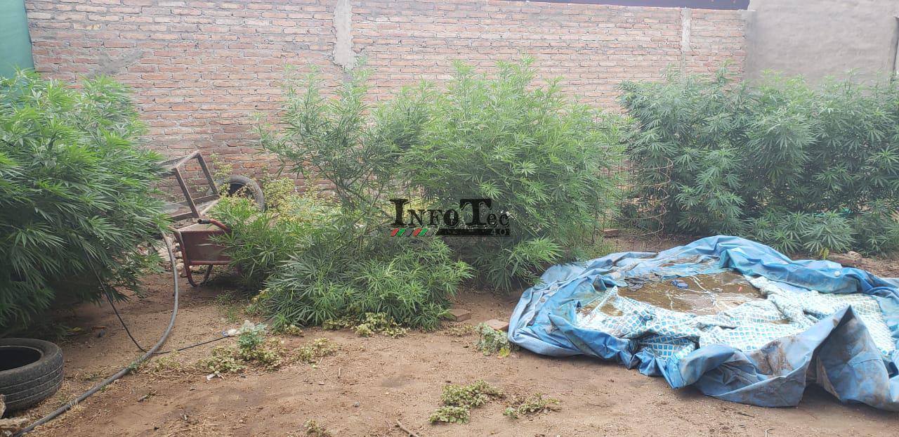 558efd97-0a2a-409e-aecd-209ba8f39dc2