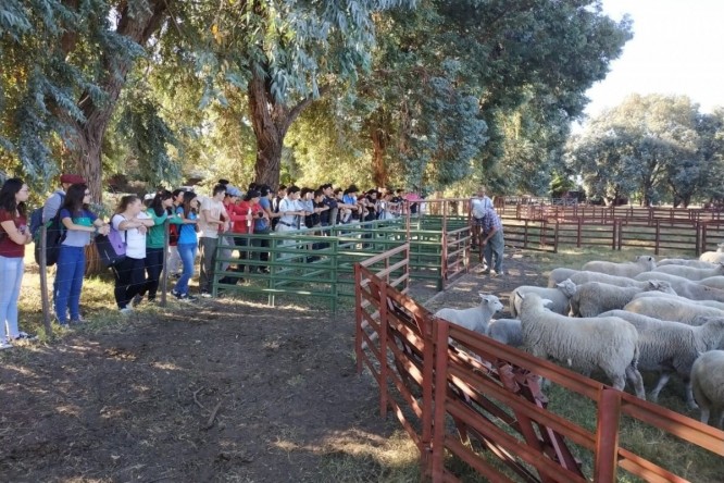 IMG-20190219-WA0043-fit-666x444