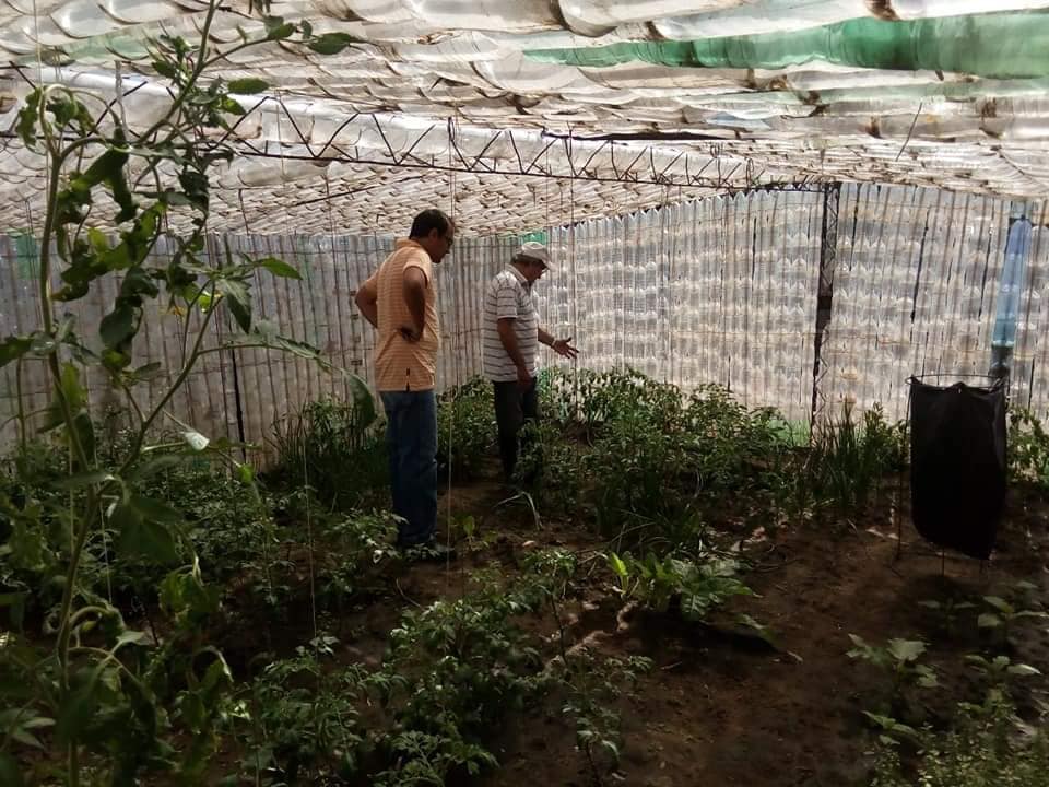 PRODUCTORES AGRICULTURA FAMILIAR 7