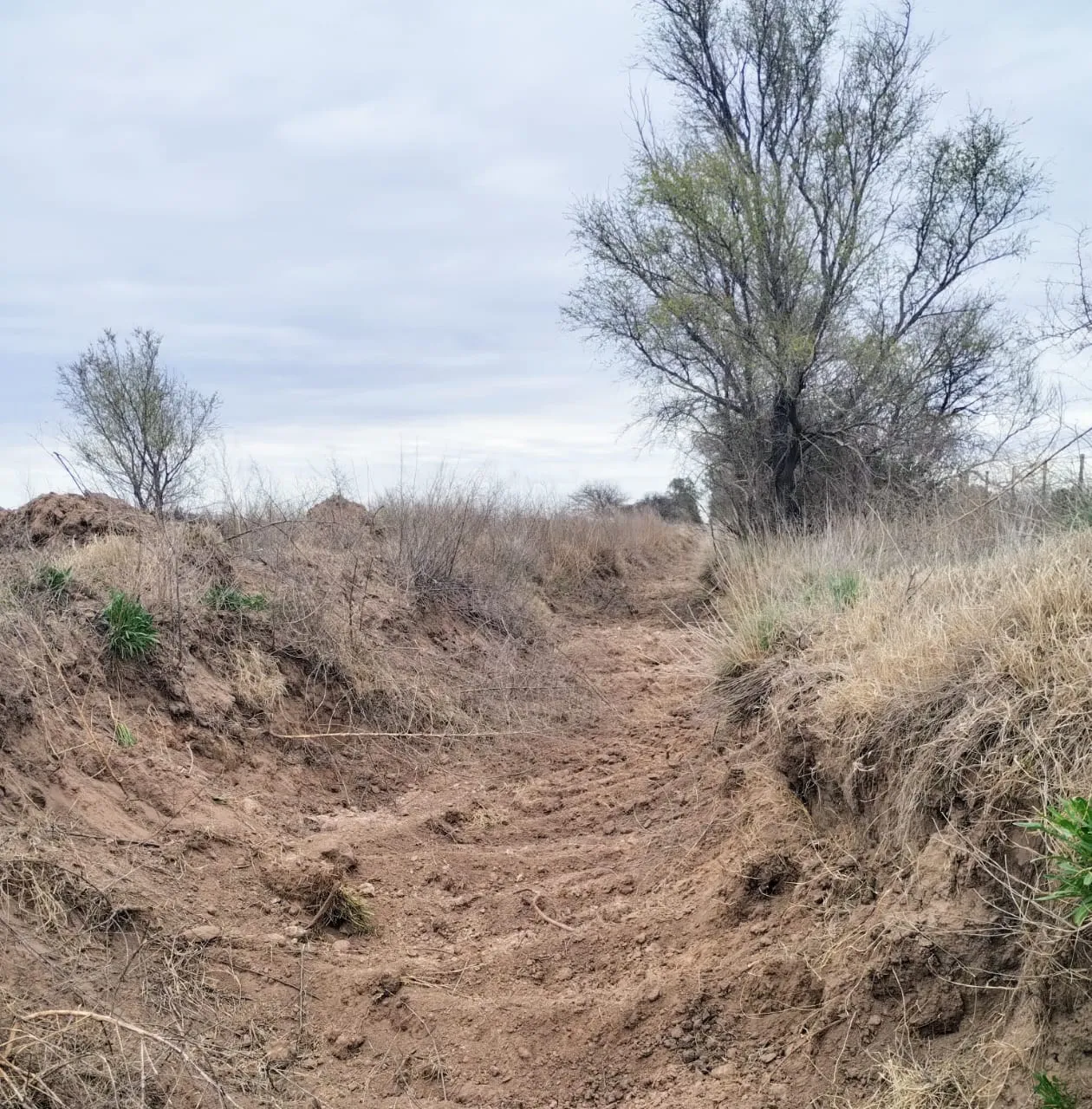 335105_whatsapp-image-2023-11-29-at-13.57.38