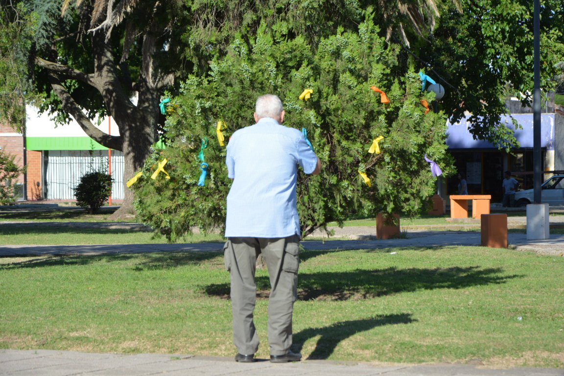 DSC_8070 (FILEminimizer)