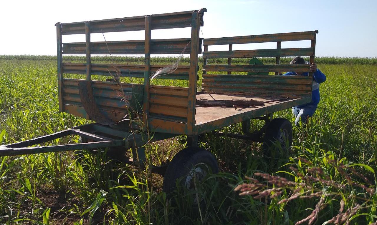 479bf2fd-6ab5-4de4-bb13-a873abf7d385