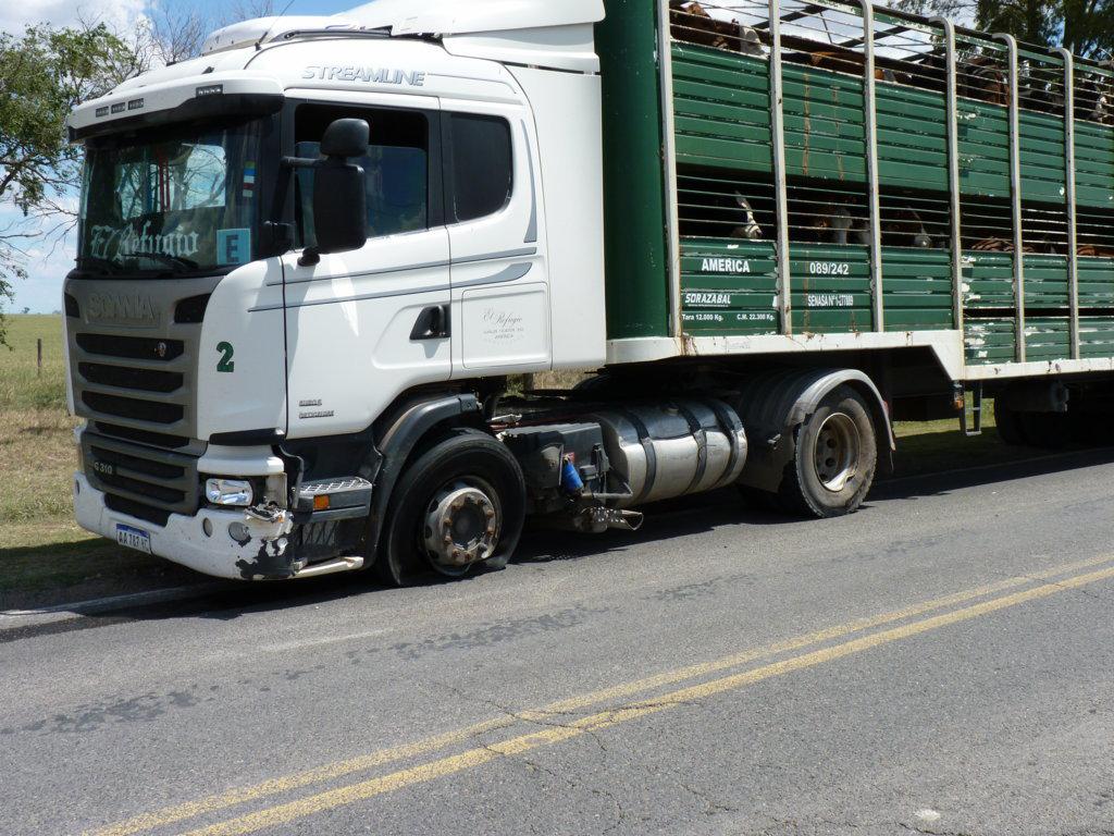 P1070693 (FILEminimizer)