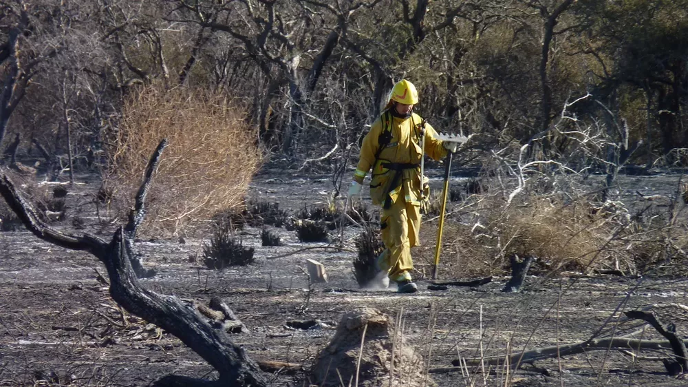 bomberos 2 (FILEminimizer)