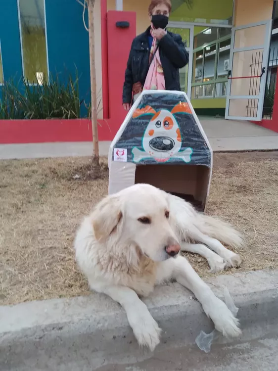 CUMELEN CASITAS PERRO 3