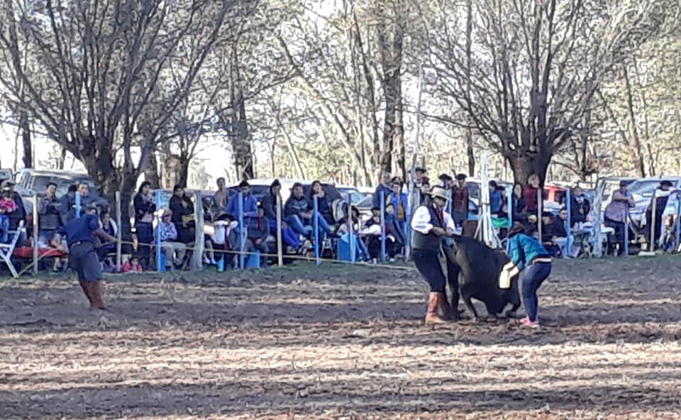 60937375_2464004546944536_6350508664993873920_n