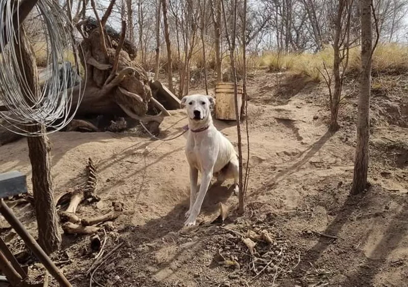 5c30535b-23c7-494b-b8ee-83aac279812b