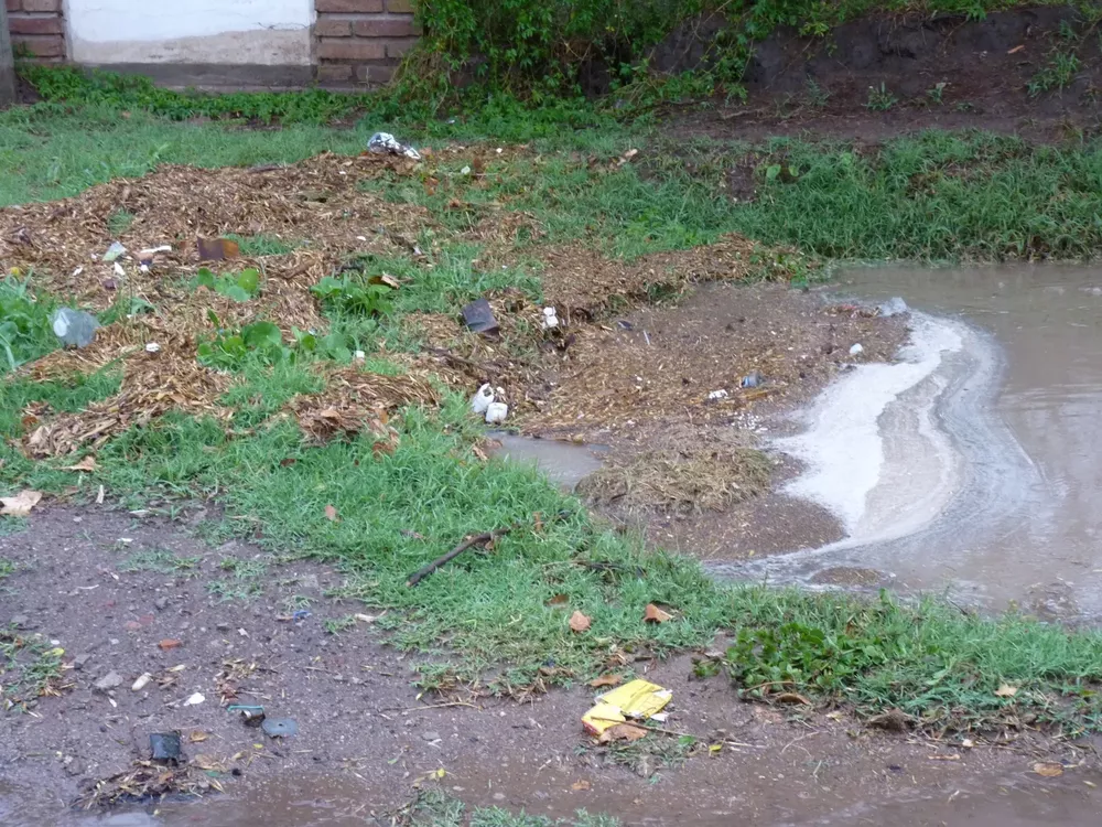 canales 8 (FILEminimizer)