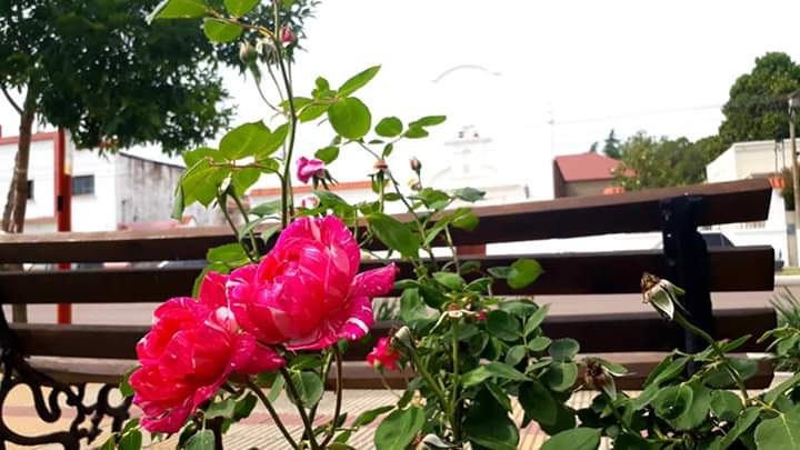 FB_IMG_1573260541580