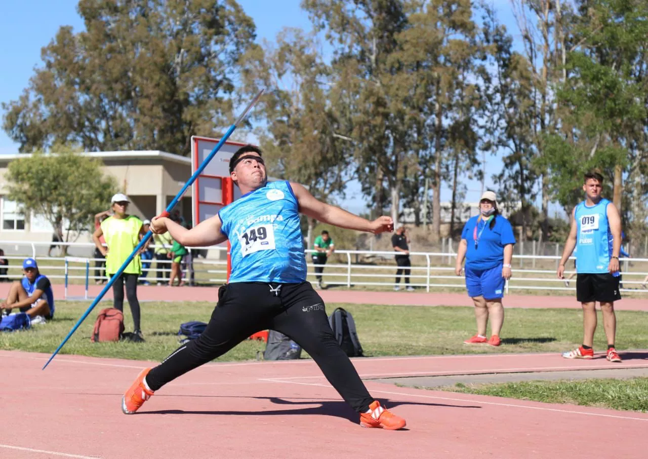 181468_araucania311215