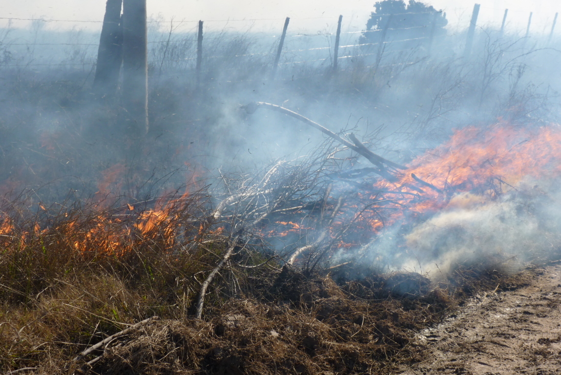 P1380286 (FILEminimizer)