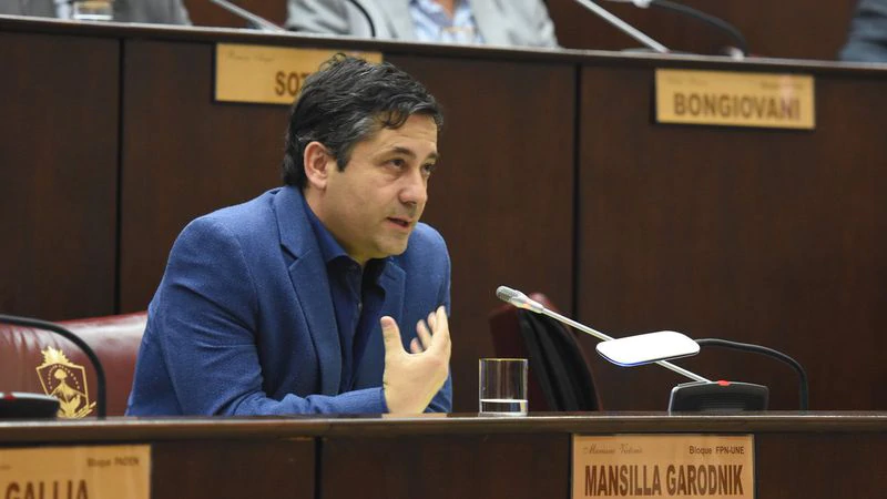 DIPUTADO MARIANO MANSILLA