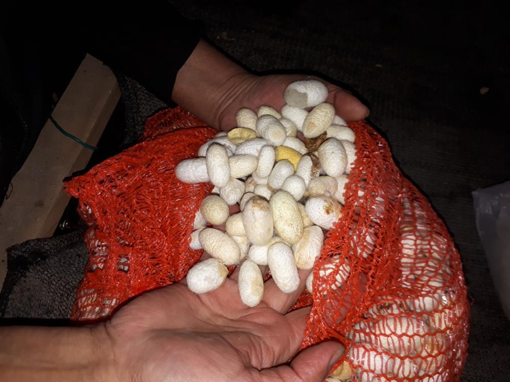 20200703_121639 (FILEminimizer)