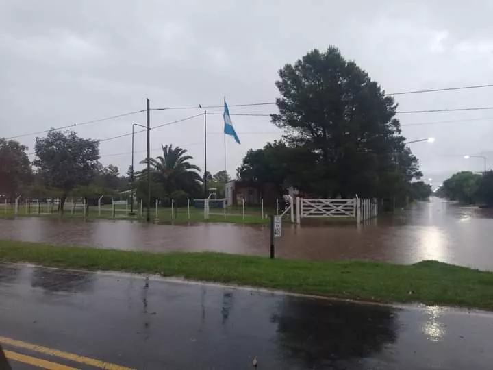 1e8a3c41-7e70-4b2a-864b-8398346bb9ae