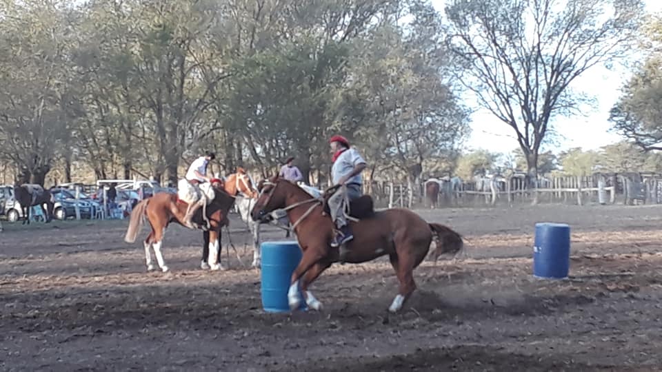 61271749_2464004890277835_8146827557715574784_n