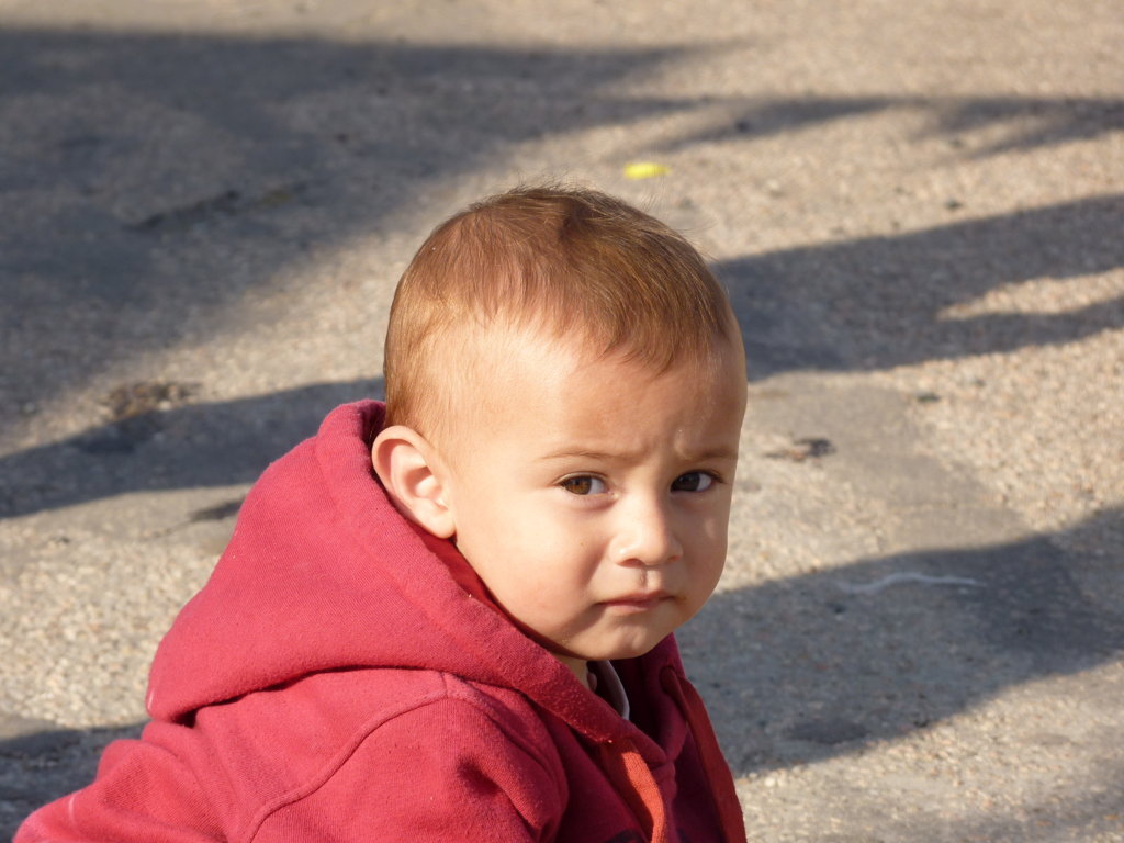 P1240753 (FILEminimizer)