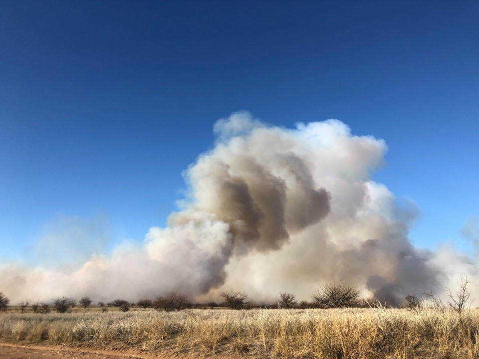 69575132_2786632094702568_407270067684769792_n