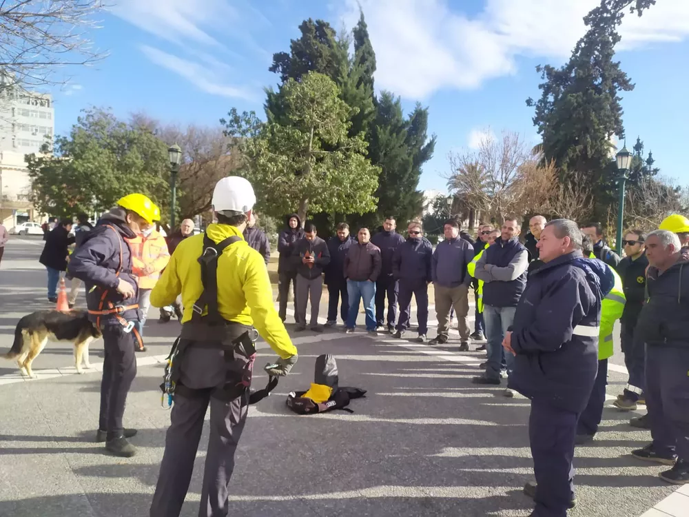 263952_whatsapp-image-2022-07-06-at-9.17.42-am