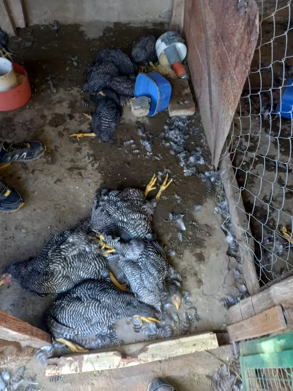 73a60d25-aa2e-4ac8-91f8-6a01c8746c3c