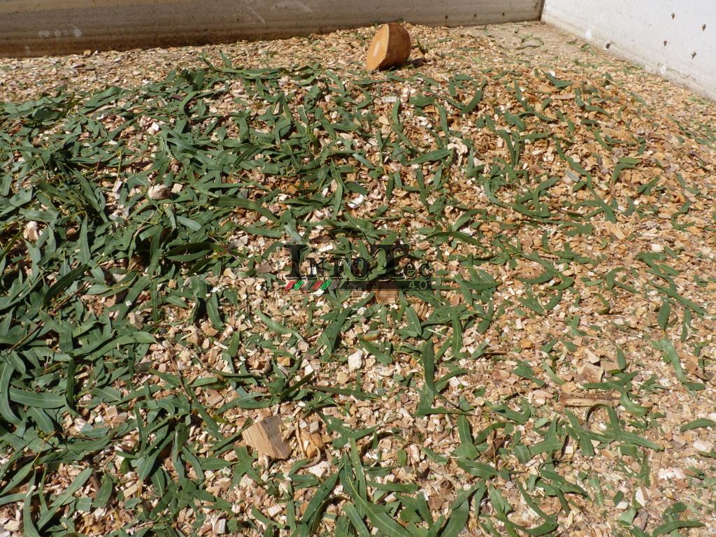 P1330351 (FILEminimizer)