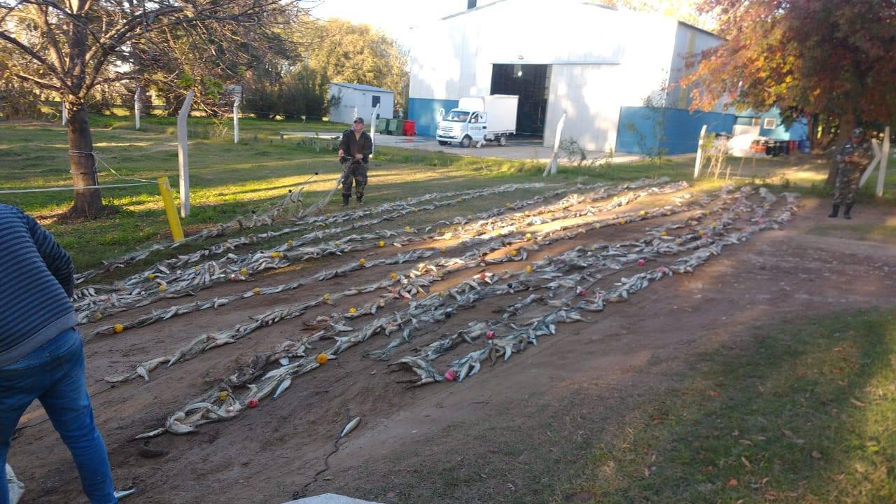 98008844_660185218171382_8825011698436931584_o