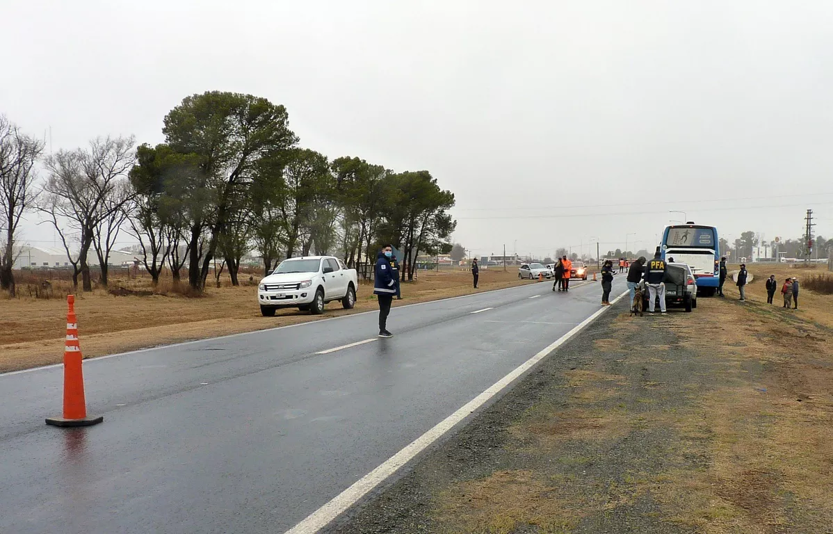 fedeal 1 (FILEminimizer)